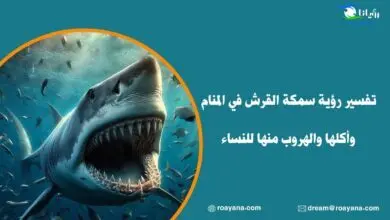 تفسير حلم سمكة القرش في المنام