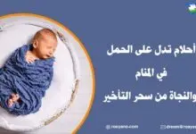 أحلام تدل على الحمل في المنام والنجاة من سحر التأخير أحلام تدل على الحمل بولد