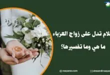 أحلام تدل على زواج العزباء ما هي وما تفسيرها؟ ما هي أحلام تدل على زواج العزباء