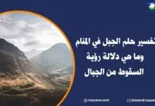 تفسير حلم الجبل في المنام وما هي دلالة رؤية السقوط من الجبال تفسير رؤية الجبل في المنام