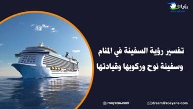 تفسير رؤية السفينة في المنام وسفينة نوح وركوبها وقيادتها تفسير رؤية السفينة في المنام