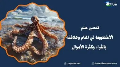 تفسير حلم الاخطبوط في المنام وعلاقته بالثراء وكثرة الأموال تفسير رؤية الاخطبوط في المنام
