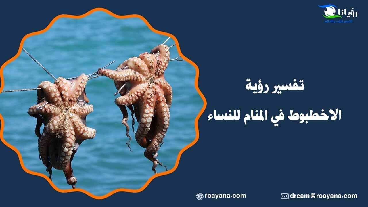 تفسير حلم الاخطبوط في المنام وعلاقته بالثراء وكثرة الأموال تفسير حلم رؤية الاخطبوط في المنام