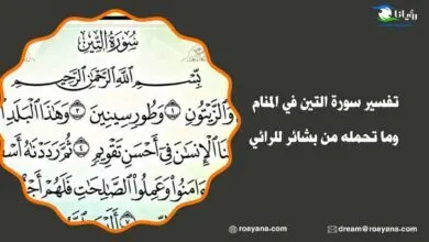 تفسير سورة التين في المنام وما تحمله من بشائر للرائي تفسير رؤية سورة التين في المنام