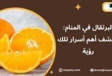 تفسير حلم البرتقال في المنام