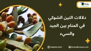 دلالات التين الشوكي في المنام بين الجيد والسيء تفسير رؤية التين الشوكي في المنام