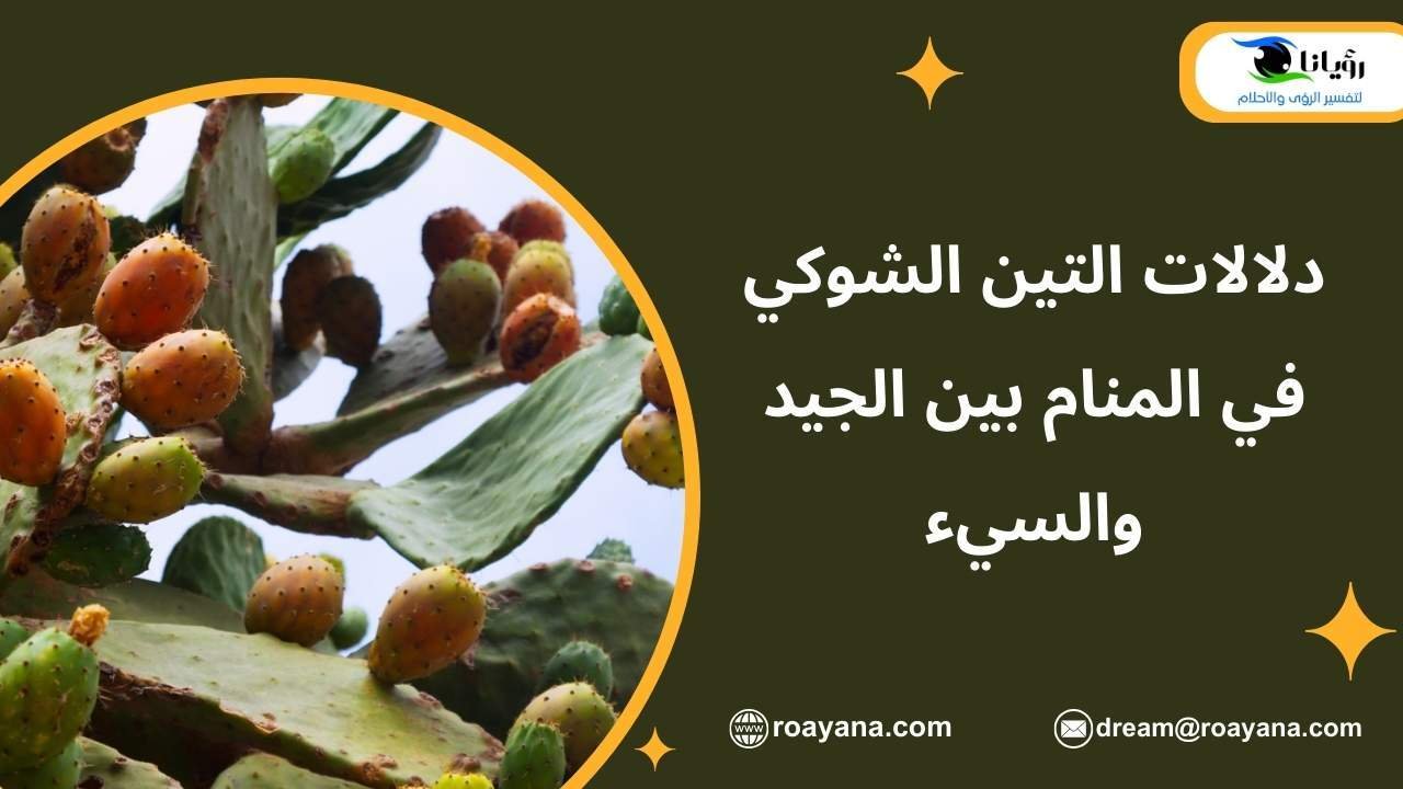 دلالات التين الشوكي في المنام بين الجيد والسيء تفسير رؤية التين الشوكي في المنام