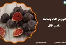 تفسير حلم التين في المنام