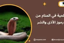 الحية في المنام من رموز الأذى والشر تفسير حلم الحية في المنام