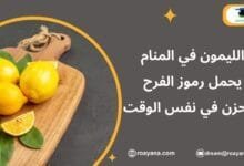 تفسير رؤية الليمون في المنام