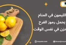 تفسير رؤية الليمون في المنام