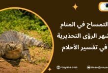 تفسير رؤية التمساح في المنام
