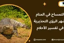 التمساح في المنام أشهر الرؤى التحذيرية في تفسير الأحلام تفسير رؤية التمساح في المنام