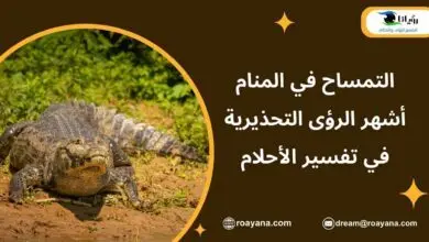 التمساح في المنام أشهر الرؤى التحذيرية في تفسير الأحلام تفسير رؤية التمساح في المنام