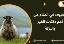 تفسير رؤية الخروف في المنام