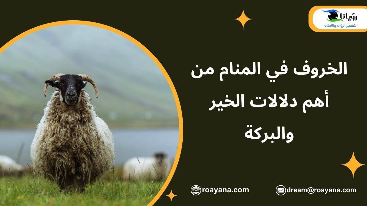 الخروف في المنام من أهم دلالات الخير والبركة تفسير رؤية الخروف في المنام