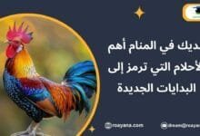 تفسير حلم الديك في المنام