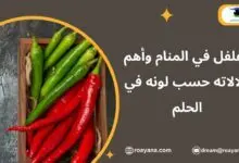 الفلفل في المنام وأهم دلالاته حسب لونه في الحلم تفسير حلم الفلفل في المنام