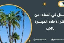 تفسير رؤية النخل في المنام