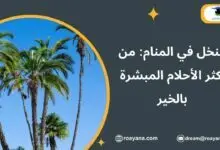 تفسير رؤية النخل في المنام