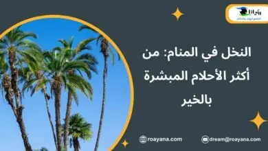 تفسير رؤية النخل في المنام