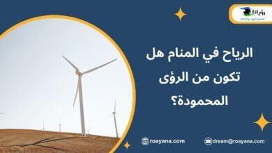الرياح في المنام هل تكون من الرؤى المحمودة؟ تفسير حلم الرياح في المنام