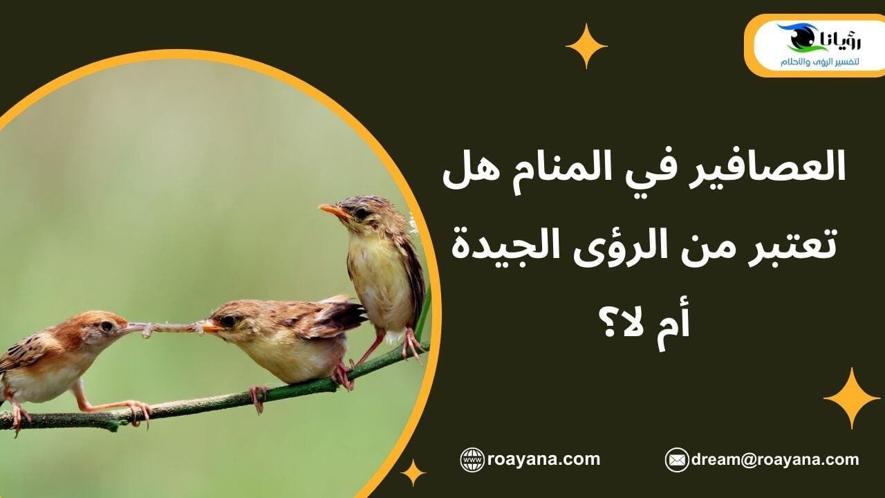 العصافير في المنام هل تعتبر من الرؤى الجيدة أم لا؟ تفسير رؤية العصافير في المنام