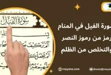 تفسير رؤية سورة الفيل في المنام
