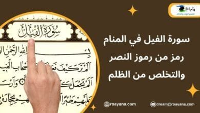 سورة الفيل في المنام رمز من رموز النصر والتخلص من الظلم تفسير رؤية سورة الفيل في المنام