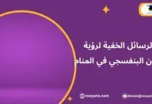 تفسير حلم اللون البنفسجي في المنام