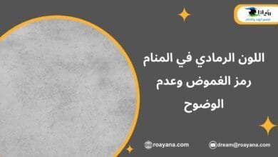 اللون الرمادي في المنام رمز الغموض وعدم الوضوح تفسير رؤية اللون الرمادي في المنام