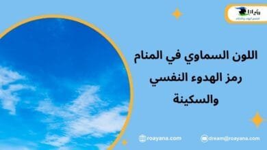 اللون السماوي في المنام رمز الهدوء النفسي والسكينة تفسير رؤية اللون السماوي في المنام