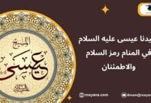 سيدنا عيسى عليه السلام في المنام