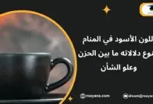 تفسير حلم اللون الأسود في المنام