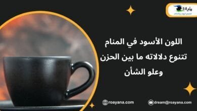 اللون الأسود في المنام تتنوع دلالاته ما بين الحزن وعلو الشأن تفسير حلم اللون الأسود في المنام