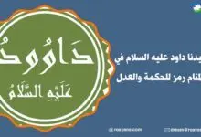 سيدنا داود عليه السلام في المنام رمز للحكمة والعدل