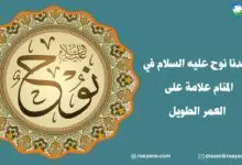سيدنا نوح عليه السلام في المنام