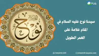 سيدنا نوح عليه السلام في المنام