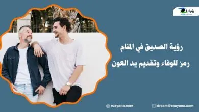 رؤية الصديق في المنام رمز للوفاء وتقديم يد العون رؤية الصديق في المنام رمز للوفاء وتقديم يد العون