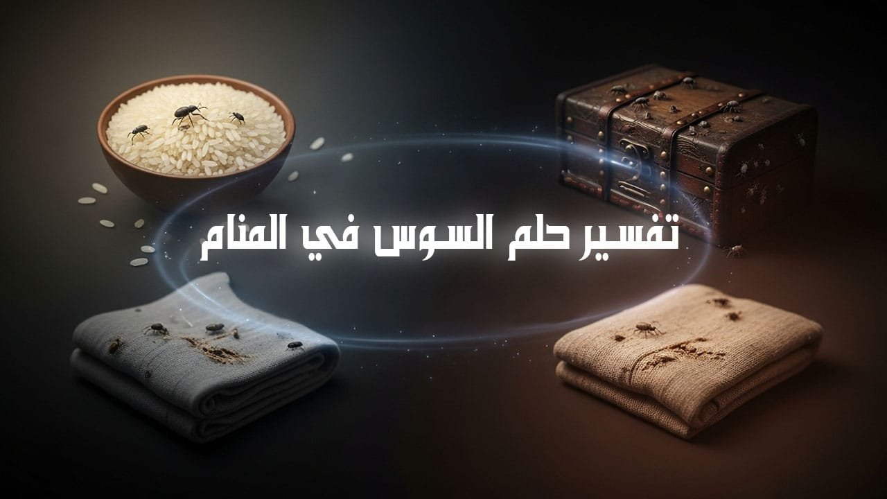 دلالات رؤية السوس في المنام في الطعام والملابس والممتلكات تفسير رؤية السوس في المنام