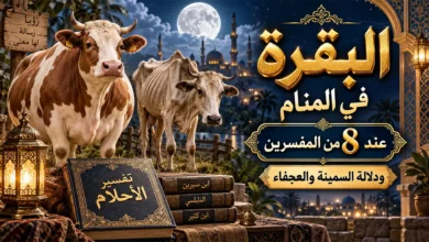 البقرة في المنام عند 8 من المفسرين ودلالة السمينة والعجفاء معنى ودلالة تفسير البقرة في المنام