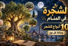 معنى تفسير الشجرة في المنام