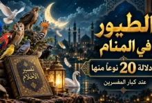 تفسير رؤية الطيور في المنام