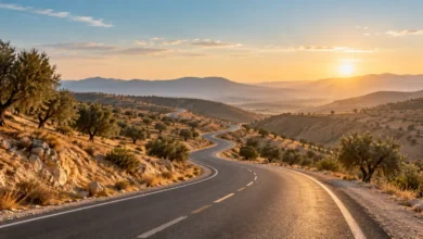 تفسير الطريق في المنام: المستقيم والضيق والضياع فيه الطريق في المنام، طريق متعرج بين تلال هادئة وأشجار متناثرة في ضوء الصباح الذهبي